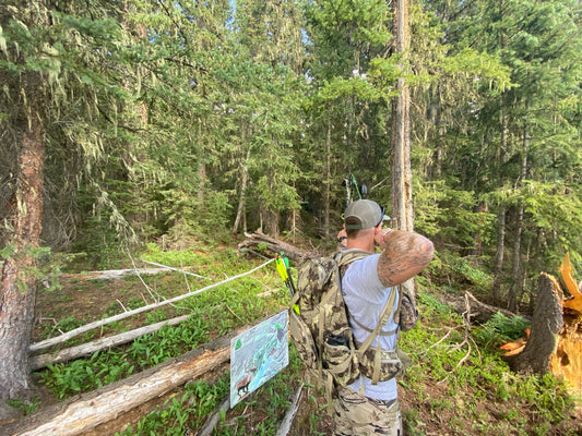 Stabilization 201 - A deeper look at setting up a compound stabilizer system