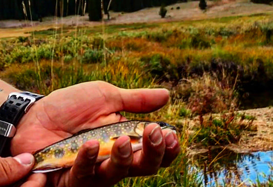 Spot and Stalk Fly-fishing - The great fun that is fly-fishing mountain streams for Brook Trout