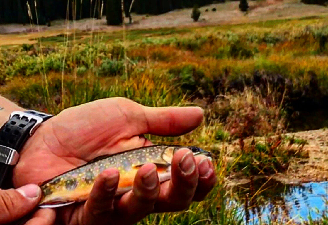 Stalk Fun Spot and Stalk Fly-fishing - The great fun that is fly-fishing mountai ...