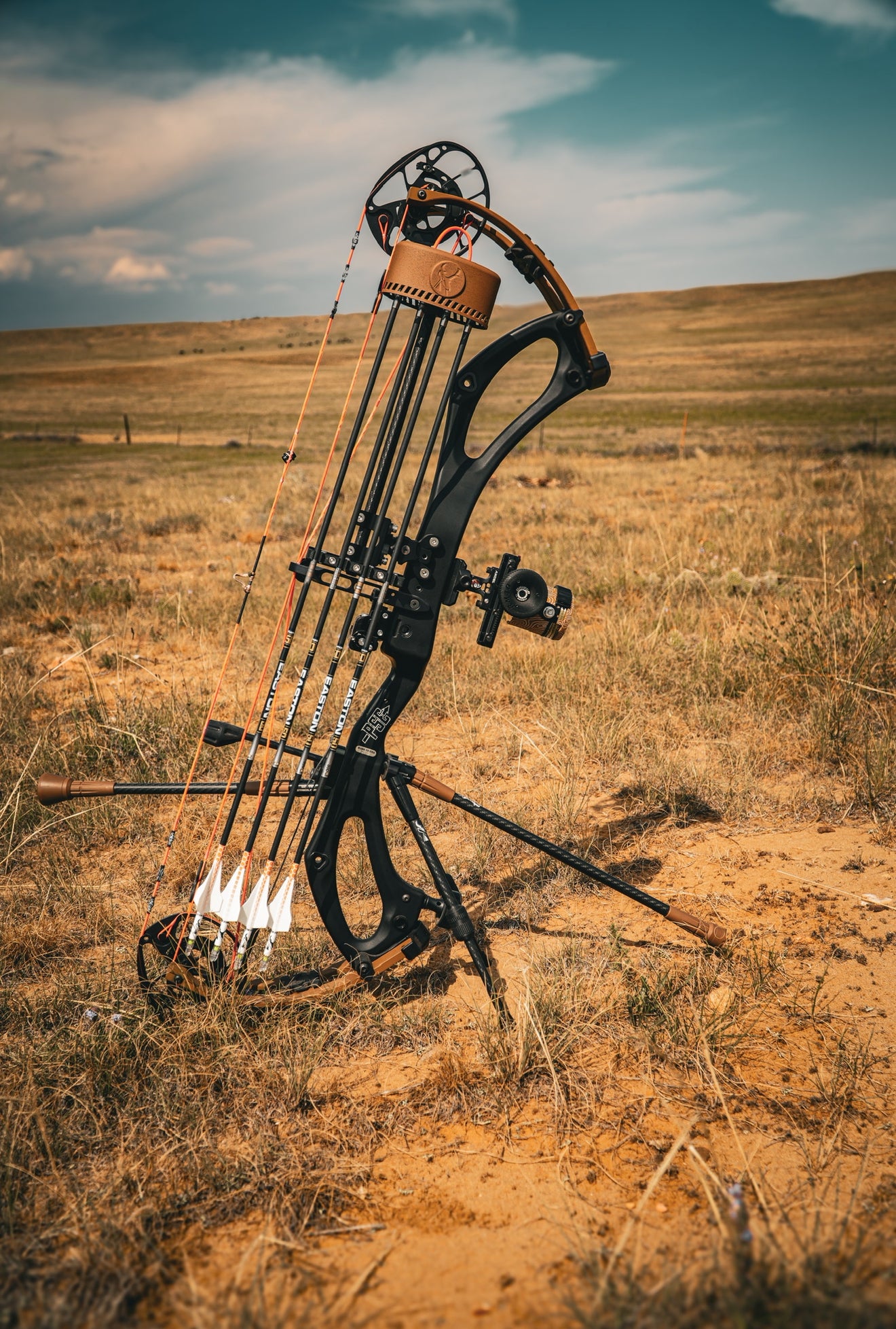 LIMITED RUN Skyline Pro Quiver Colormatch